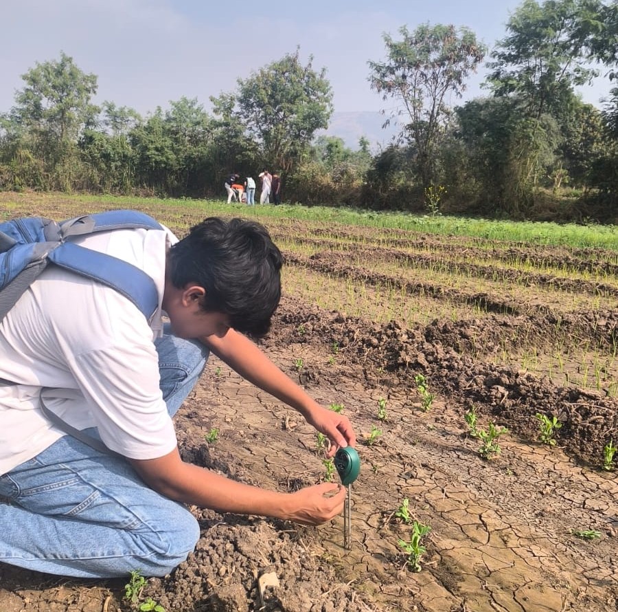 PH monitoring