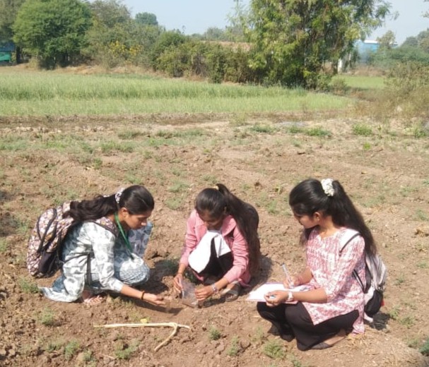 soil sample collection